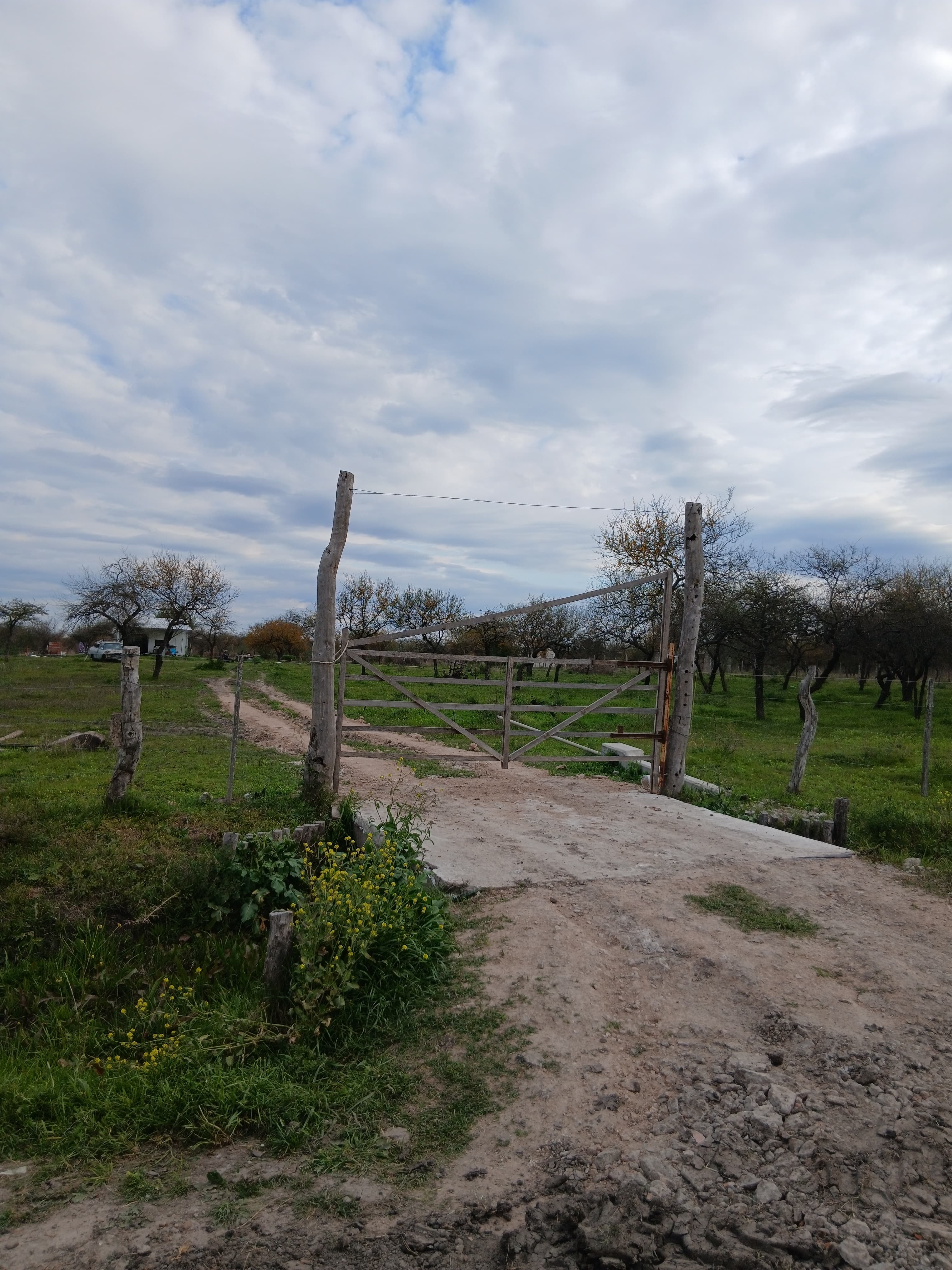 Imagen de la propiedad CASA + 1,5 HECTÁREAS EN VENTA | CONSCRIPTO BERNARDI