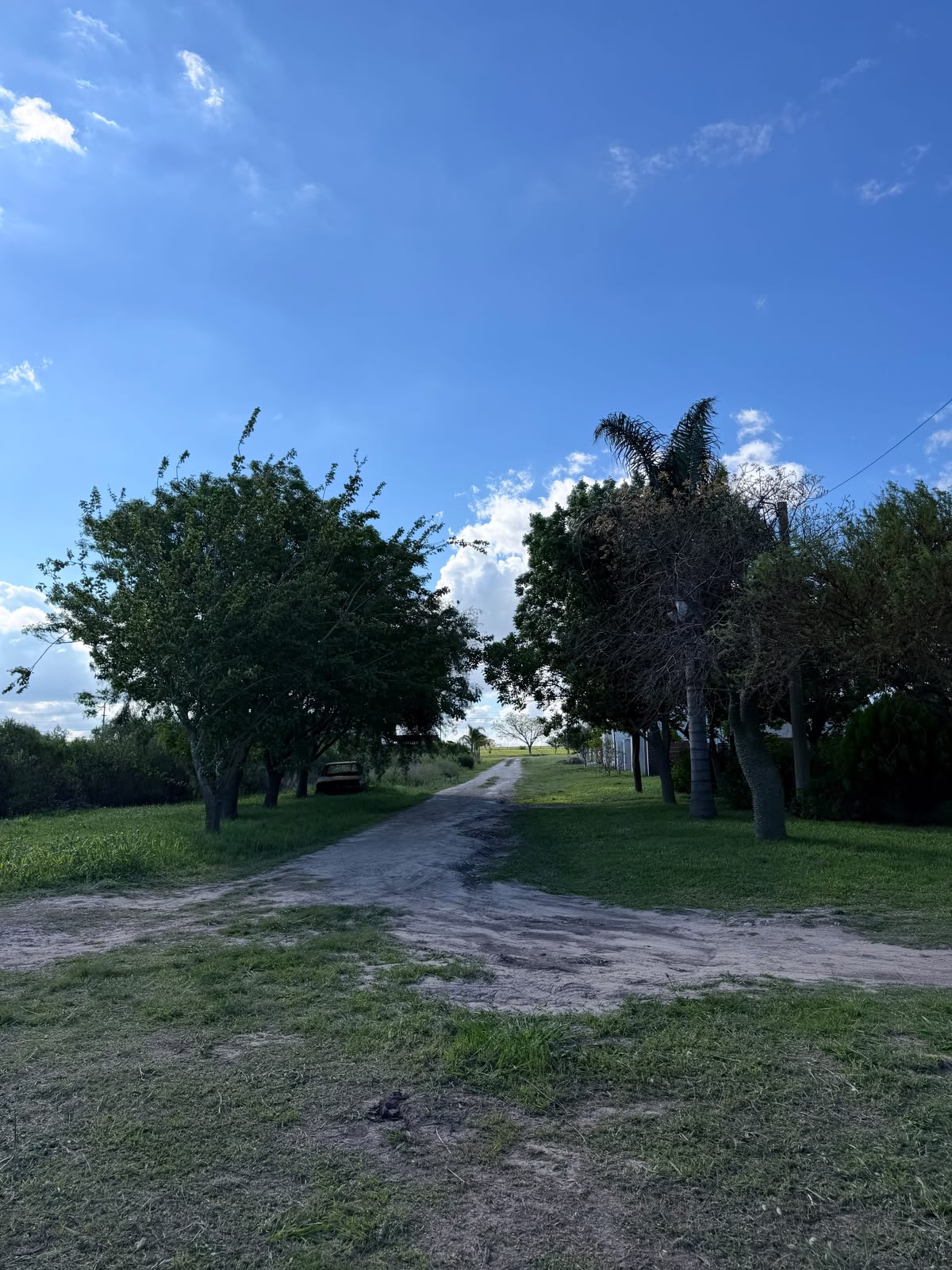 Imagen de la propiedad TERRENO EN VENTA – LOMA ALTA 