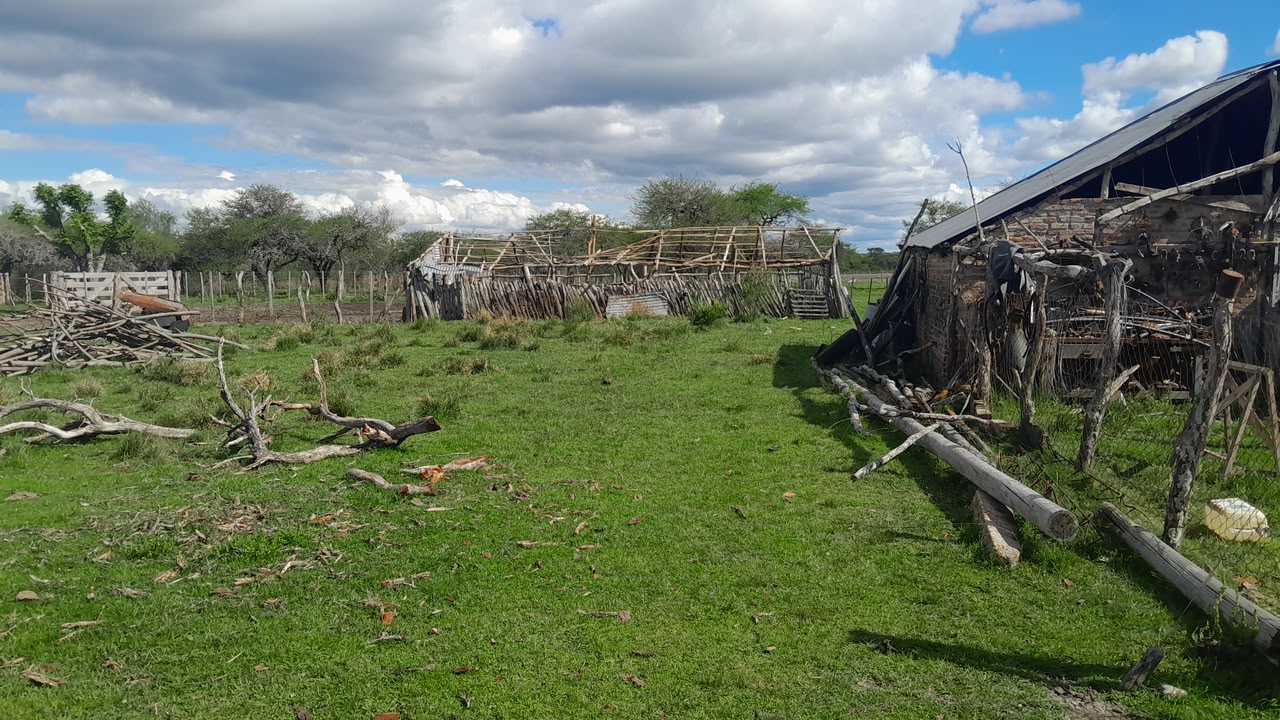 Imagen de la propiedad CAMPO EN VENTA – 100 HECTÁREAS
