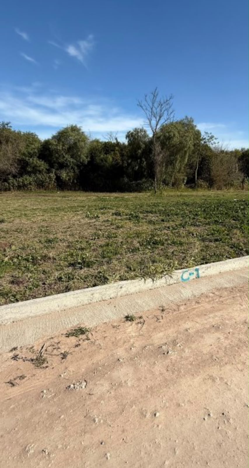 Imagen de la propiedad TERRENO EN VENTA | ZONA LEBENSHON Y BAEZ