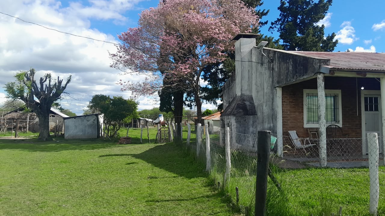 Imagen de la propiedad CAMPO EN VENTA – 100 HECTÁREAS