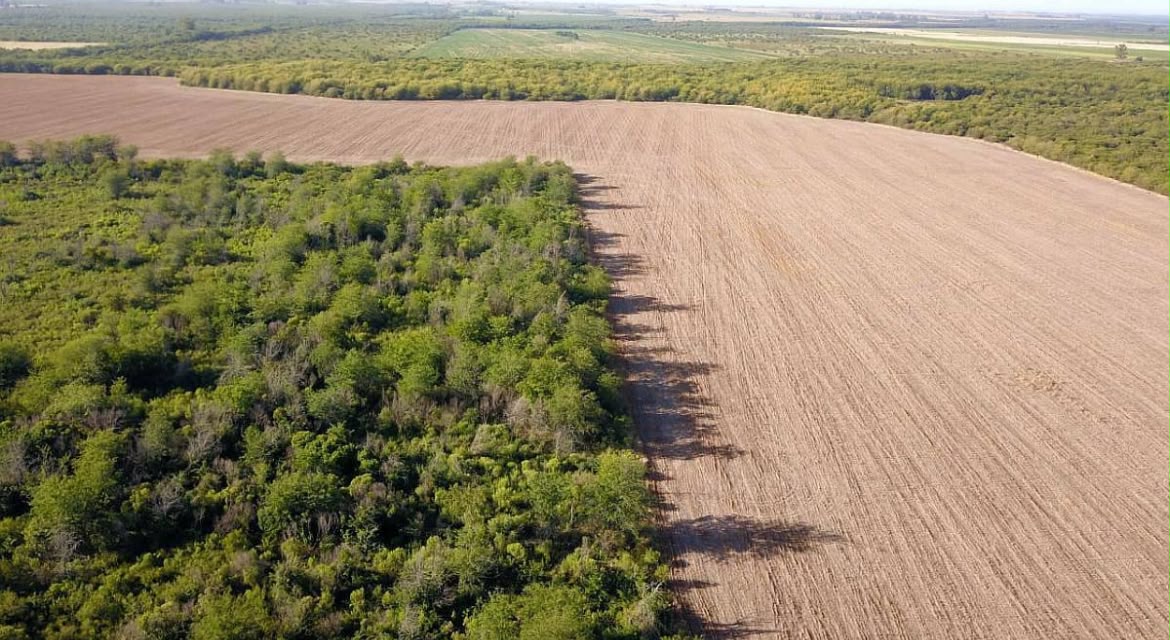 Imagen de la propiedad CAMPO EN VENTA | 178 HECTÁREAS