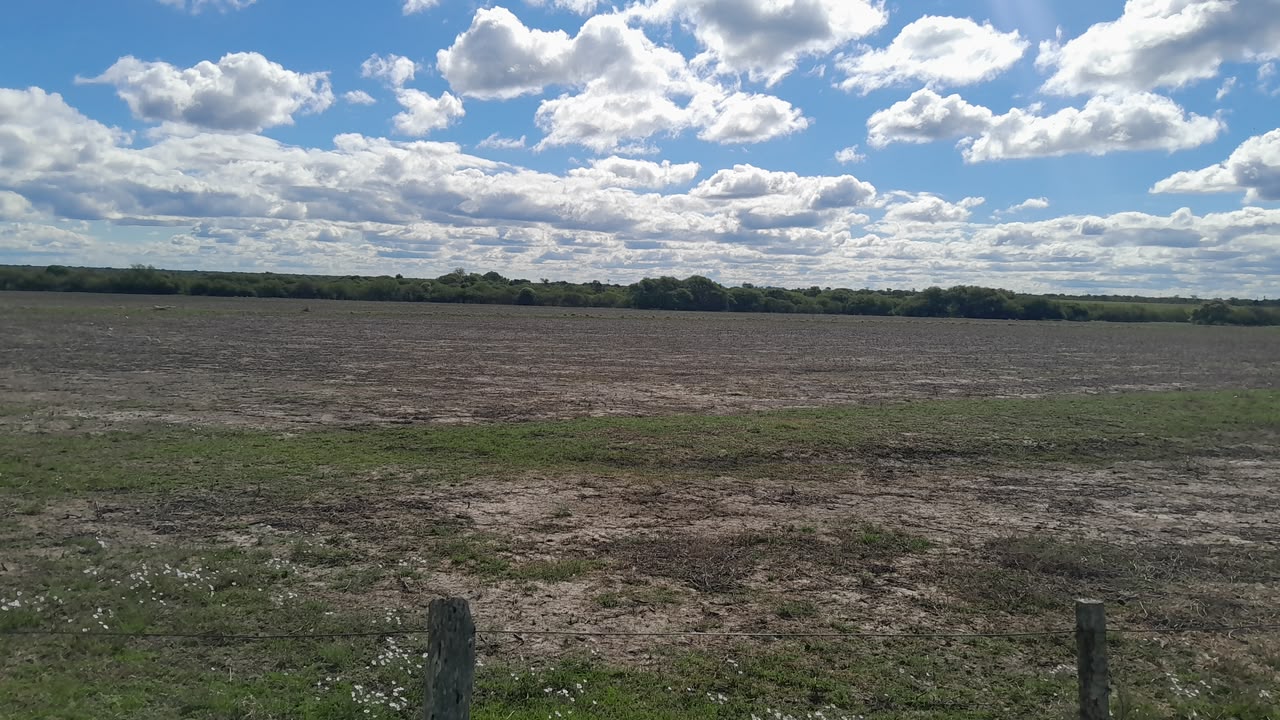 Imagen de la propiedad CAMPO EN VENTA – 100 HECTÁREAS