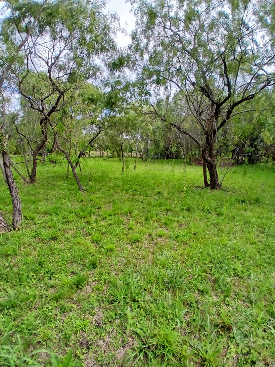 Imagen de la propiedad DOS TERRENOS EN VENTA – LOMAS DEL SAUCE 1