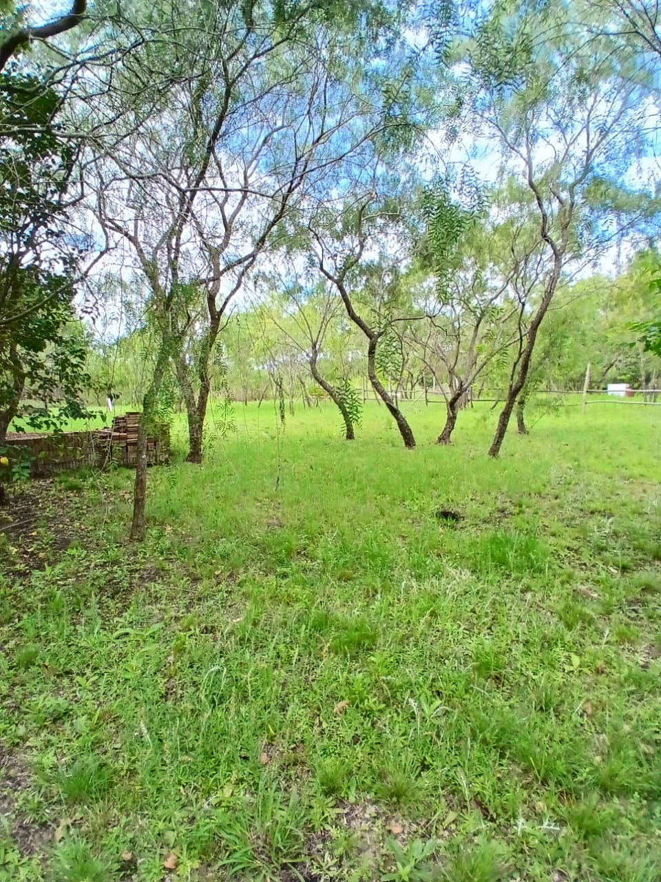 Imagen de la propiedad DOS TERRENOS EN VENTA – LOMAS DEL SAUCE 1