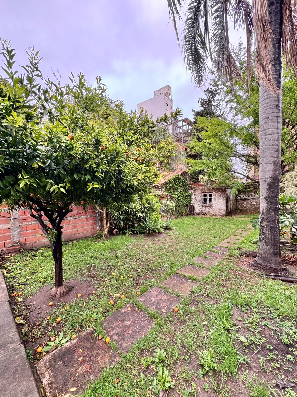 Imagen de la propiedad CASA EN VENTA –  