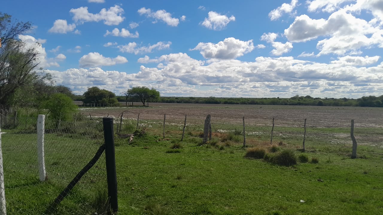 Imagen de la propiedad CAMPO EN VENTA – 100 HECTÁREAS