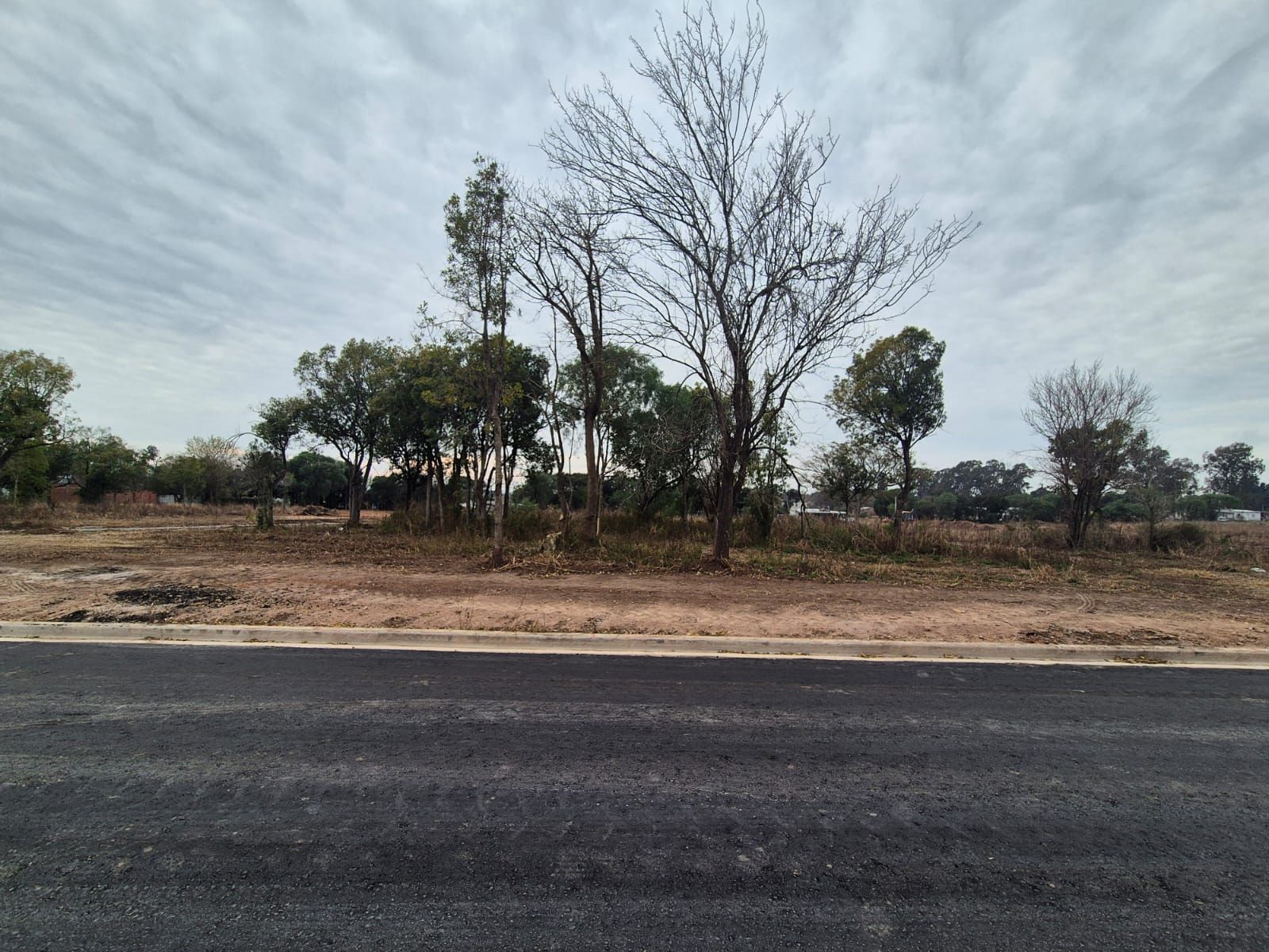 Imagen de la propiedad LOTES EN VENTA 