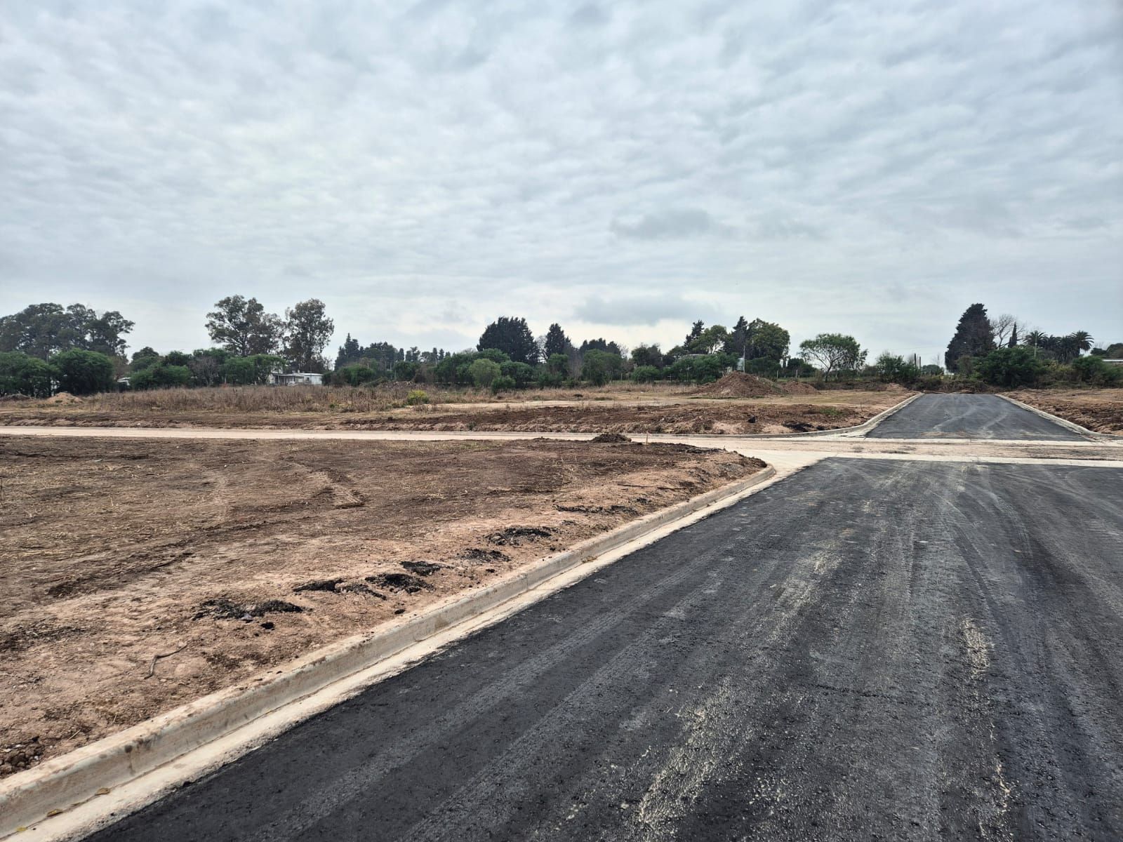 Imagen de la propiedad LOTES EN VENTA 