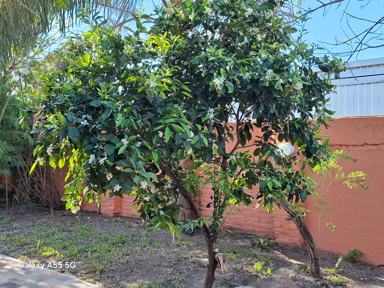 Imagen de la propiedad CASA QUINTA EN VENTA - ALMAFUERTE (APTA CREDITO)