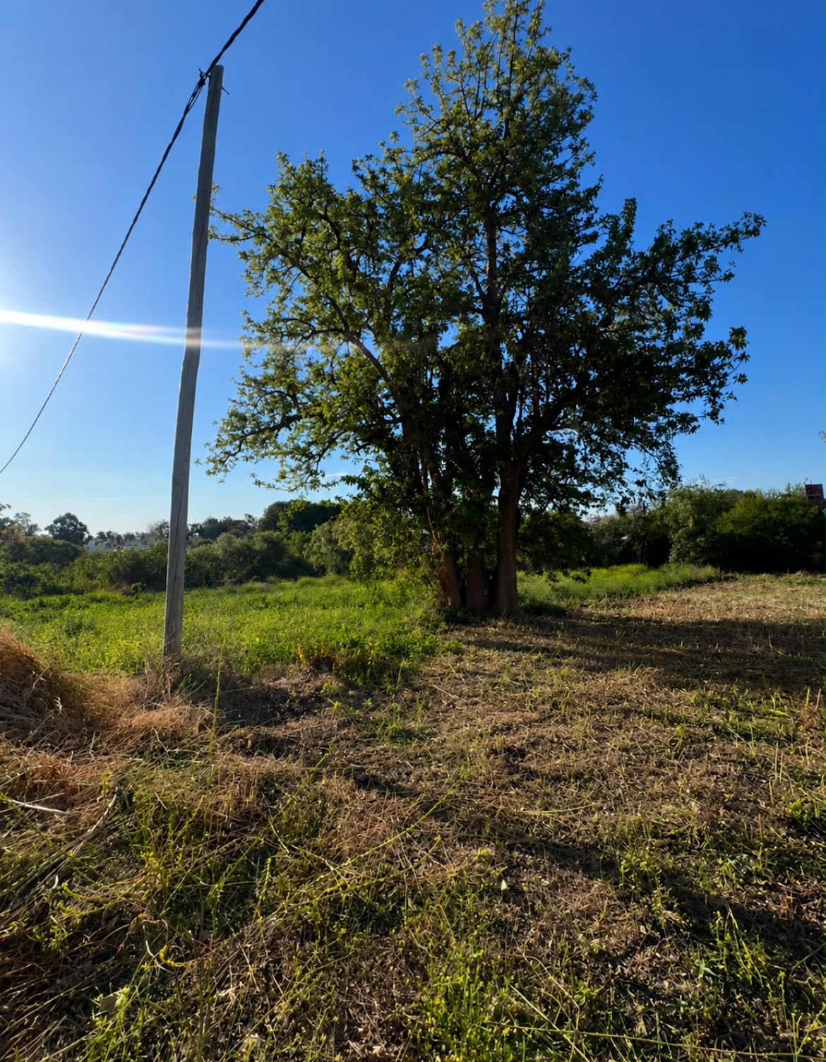 Imagen de la propiedad  TERRENO EN VENTA – ZONA GOLF CAE 