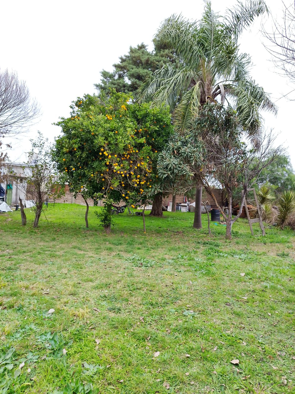 Imagen de la propiedad CASA A RECICLAR + LOTE EN VENTA - SAN BENITO