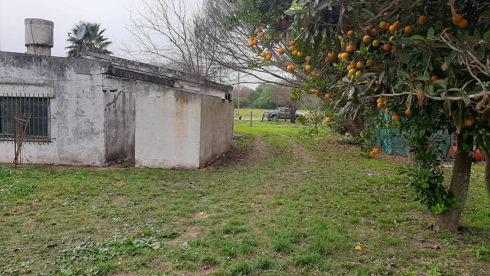 Imagen de la propiedad CASA A RECICLAR + LOTE EN VENTA - SAN BENITO