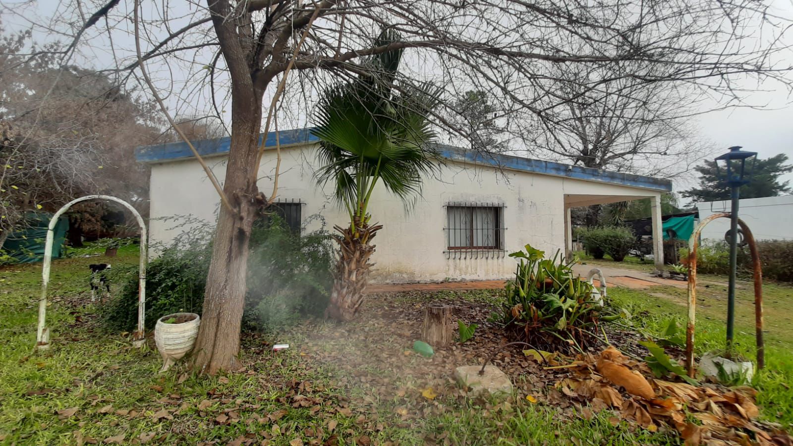 Imagen de la propiedad CASA A RECICLAR + LOTE EN VENTA - SAN BENITO