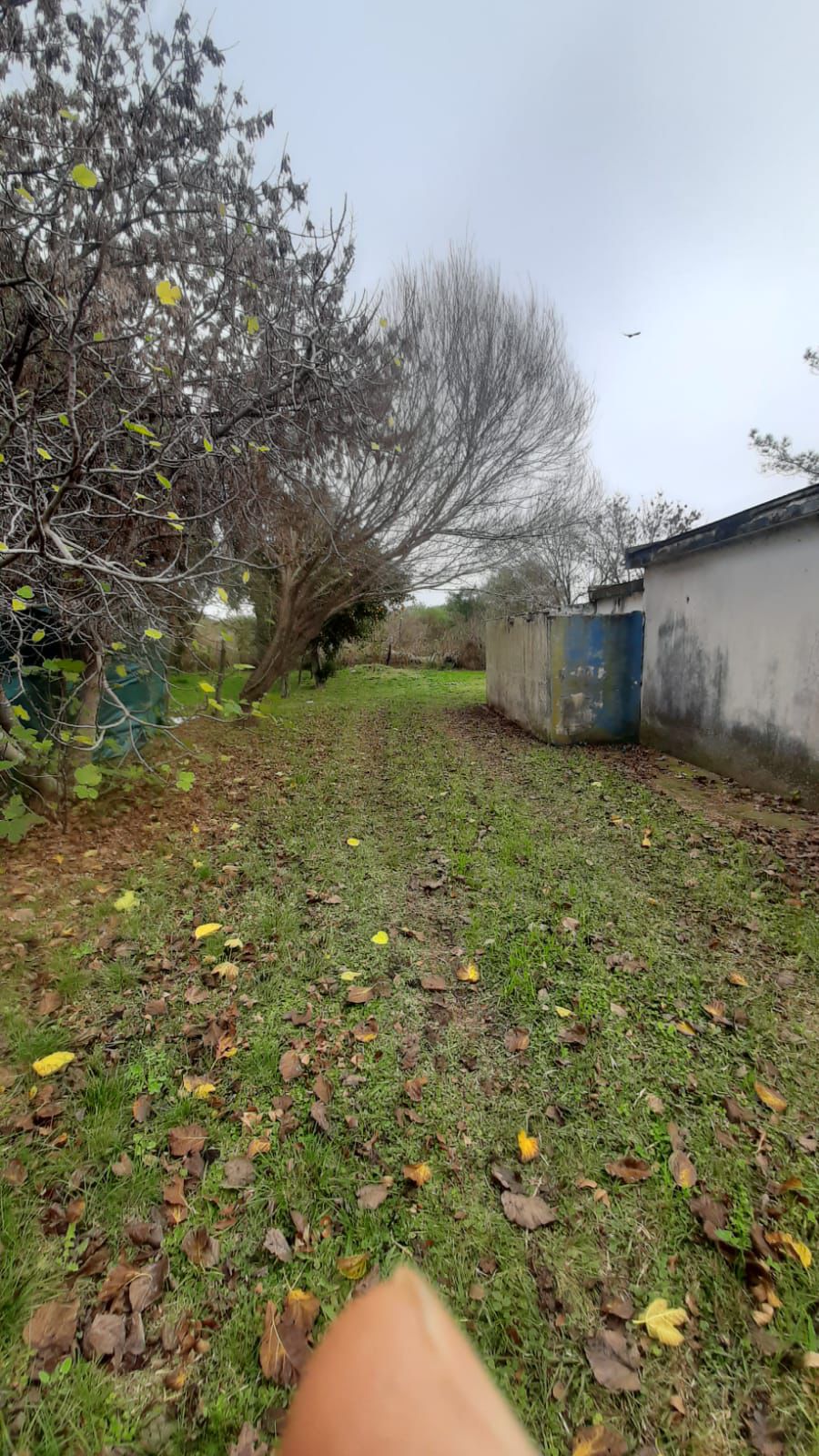 Imagen de la propiedad CASA A RECICLAR + LOTE EN VENTA - SAN BENITO