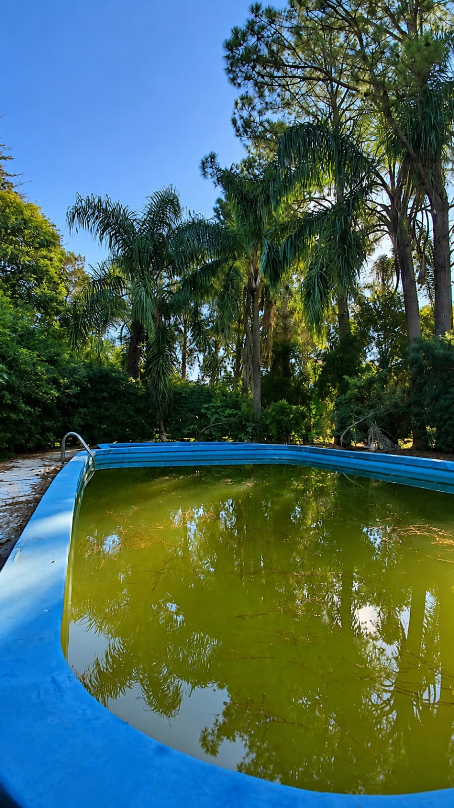 Imagen de la propiedad COMPLEJO EN VENTA | VILLA URQUIZA