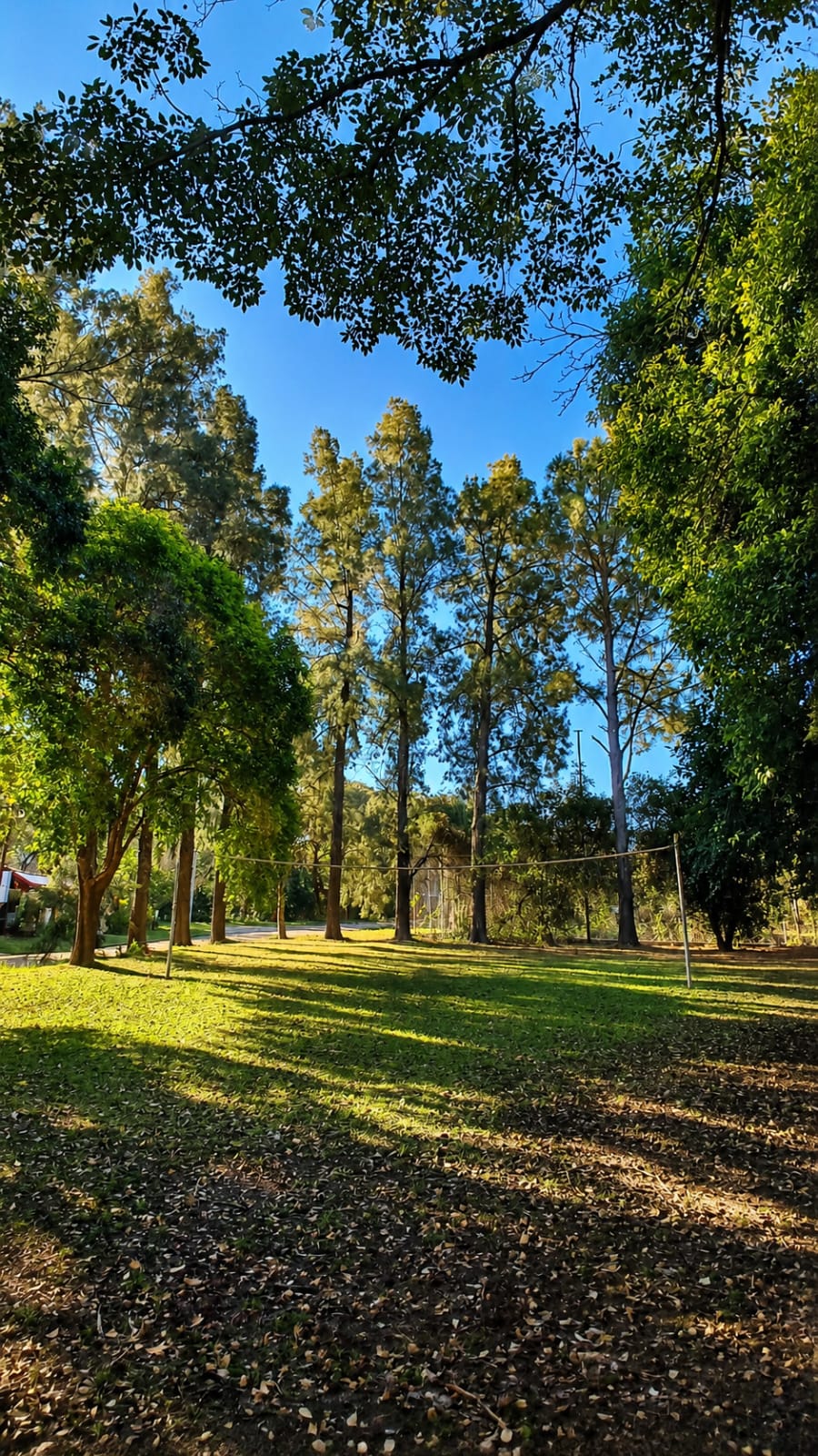 Imagen de la propiedad COMPLEJO EN VENTA | VILLA URQUIZA