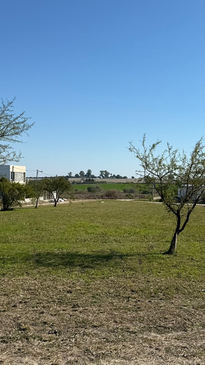 Imagen de la propiedad TERRENO EN VENTA | ORO VERDE