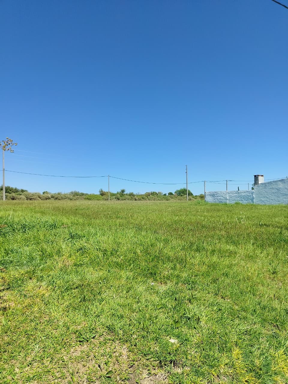 Imagen de la propiedad LOTE EN VENTA | STROBEL