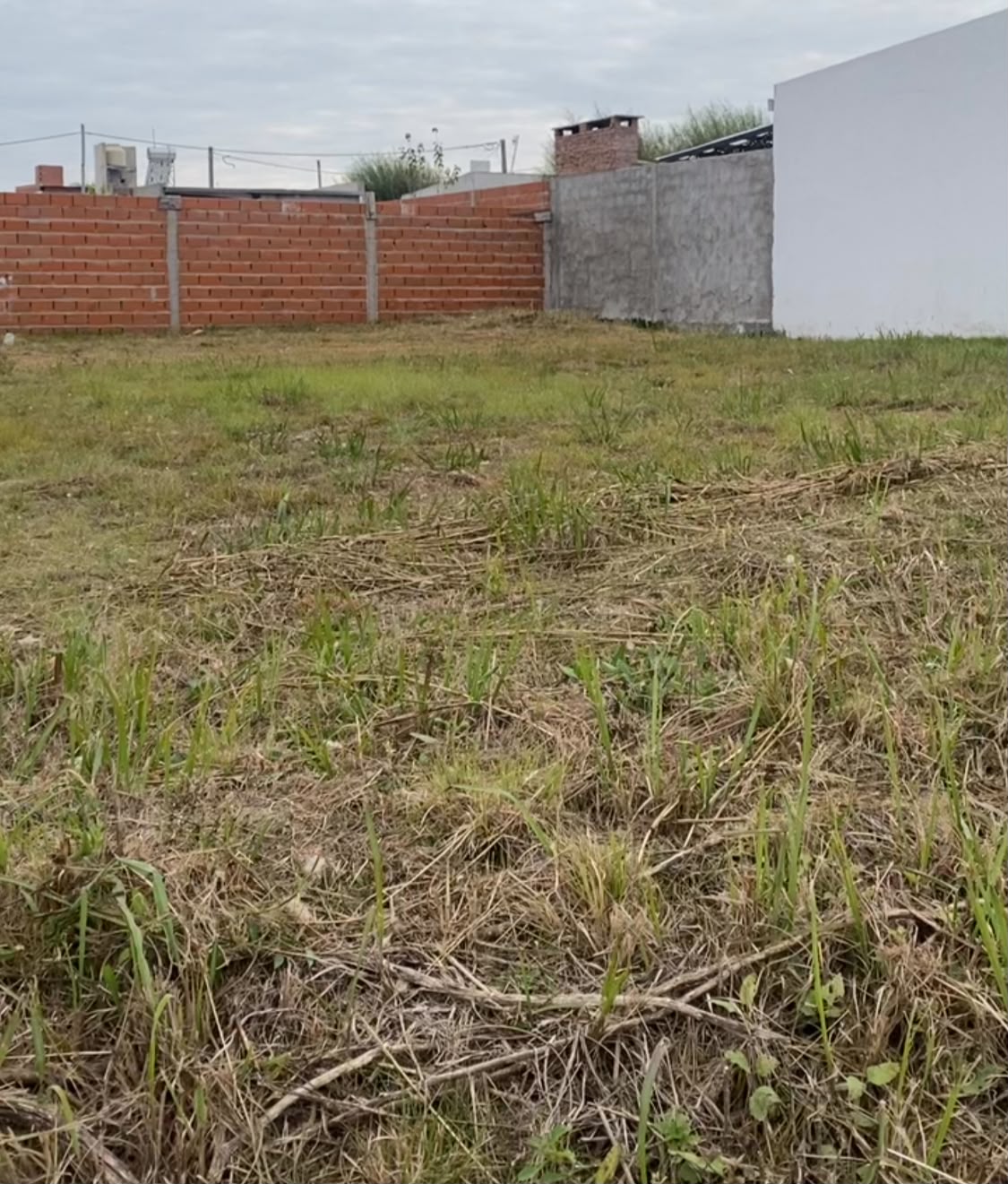 Imagen de la propiedad TERRENO EN VENTA EN ESQUINA DE SOLVENCIA | SAN BENITO