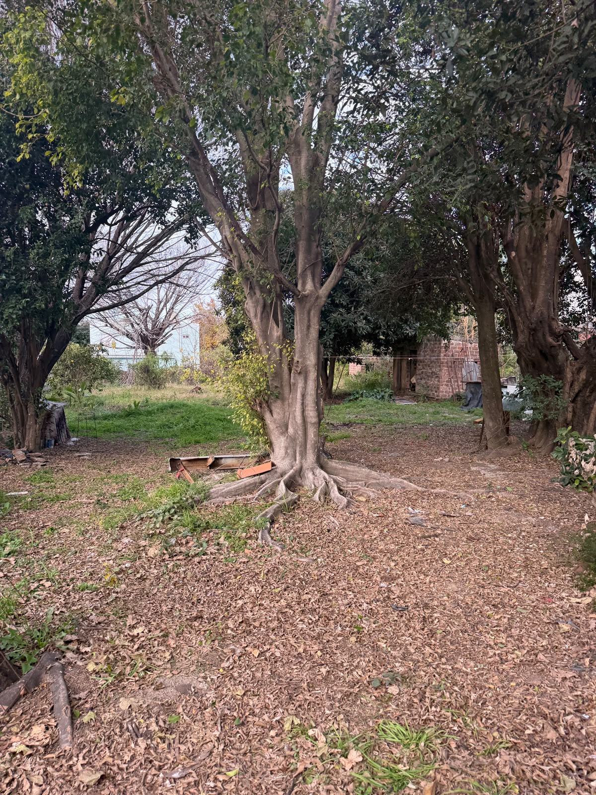 Imagen de la propiedad VENTA | TERRENO – PARANÁ