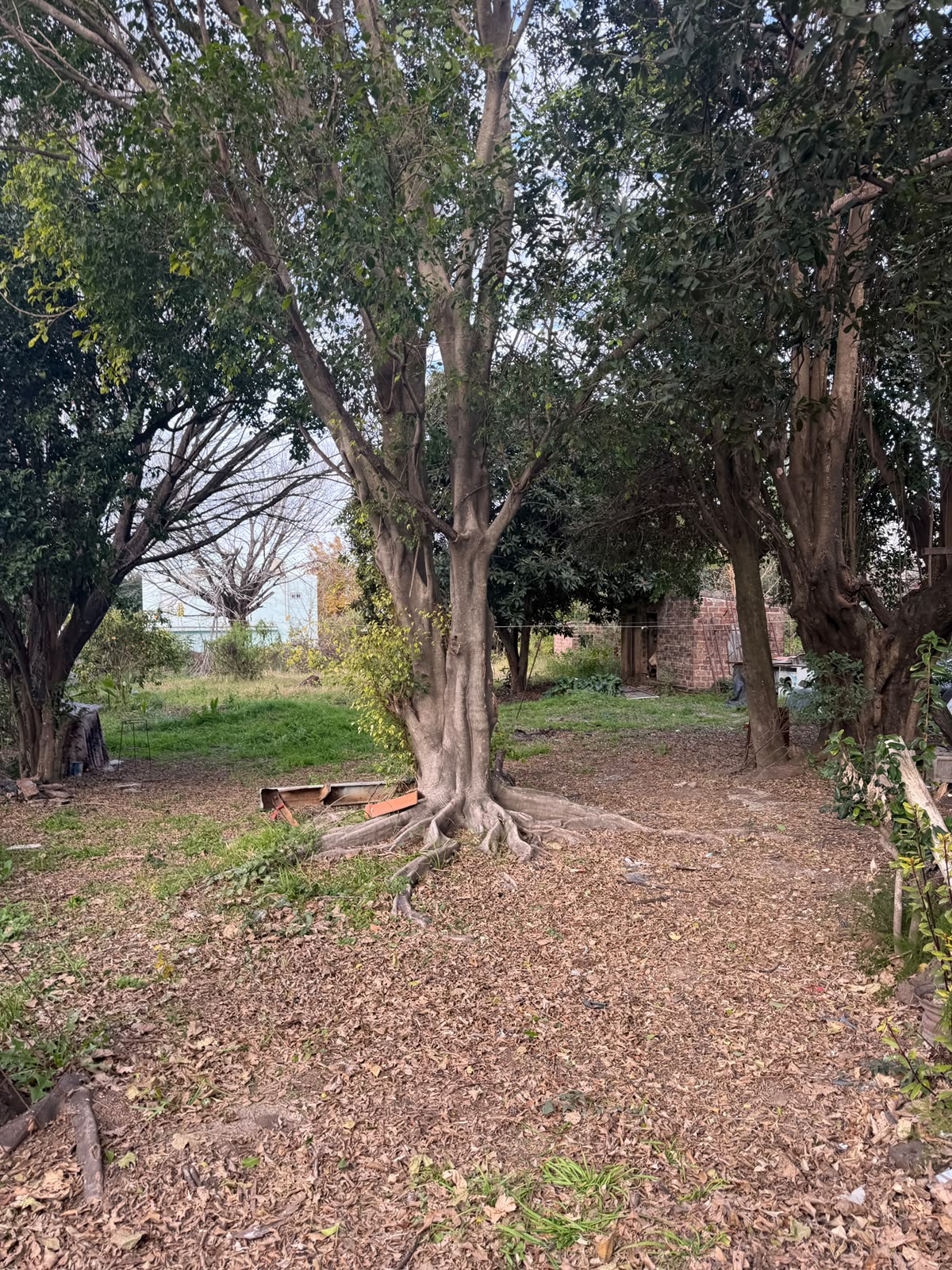 Imagen de la propiedad VENTA | TERRENO – PARANÁ