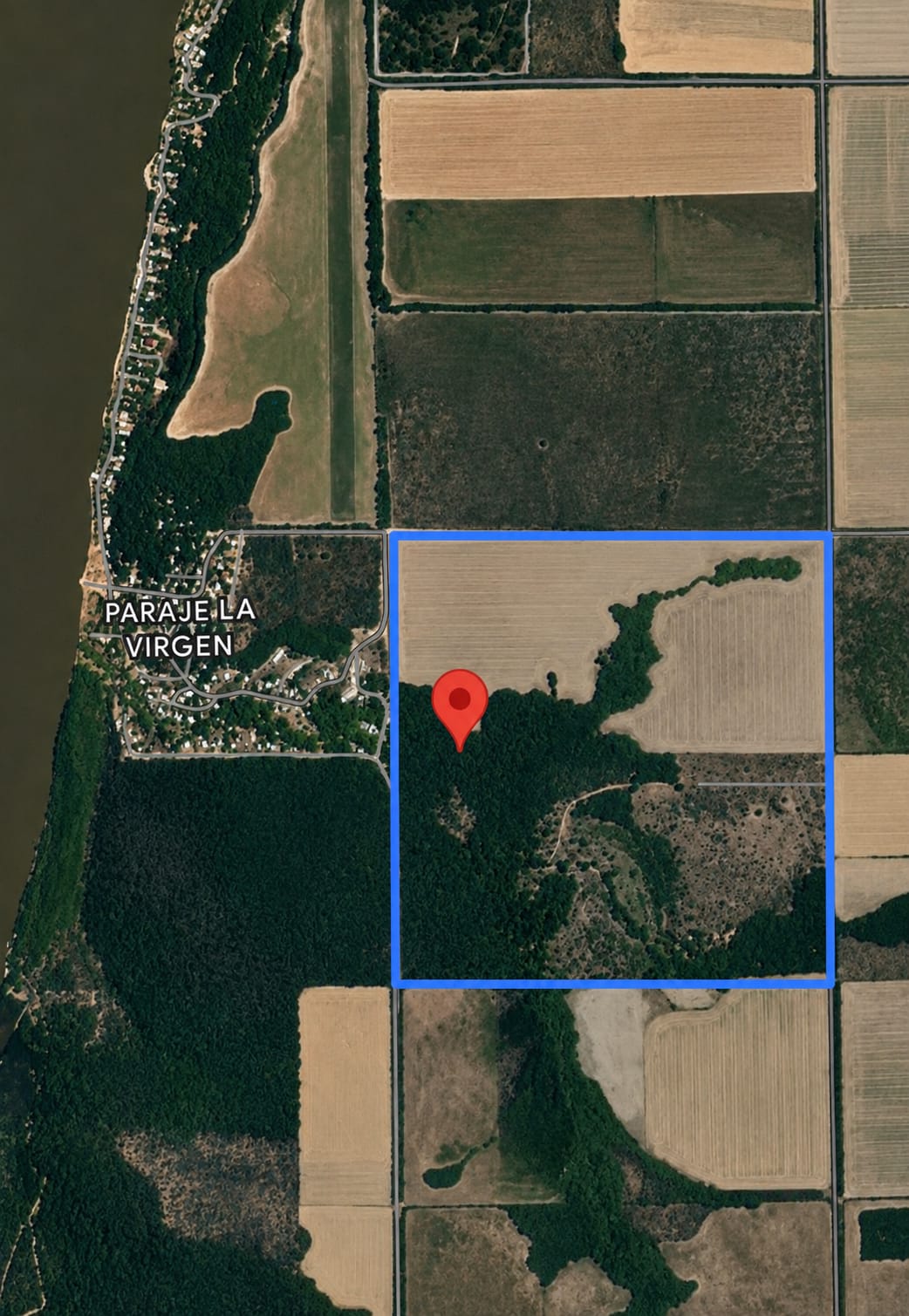 Imagen de la propiedad CAMPO EN VENTA – PARAJE LA VIRGEN
