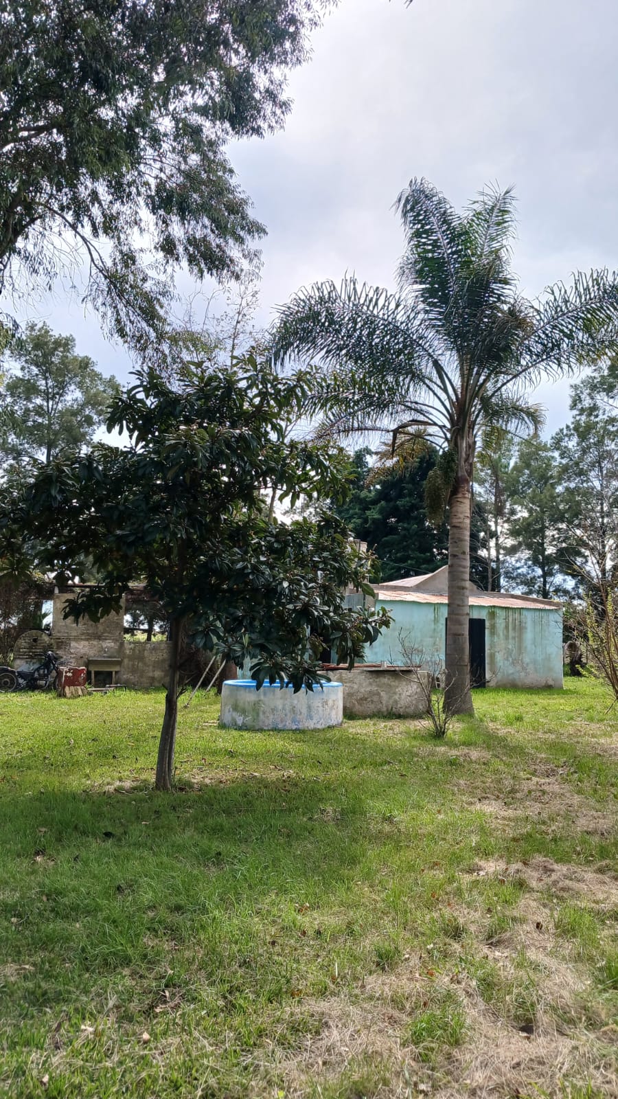 Imagen de la propiedad CASA QUINTA EN VENTA – ESPINILLO NORTE