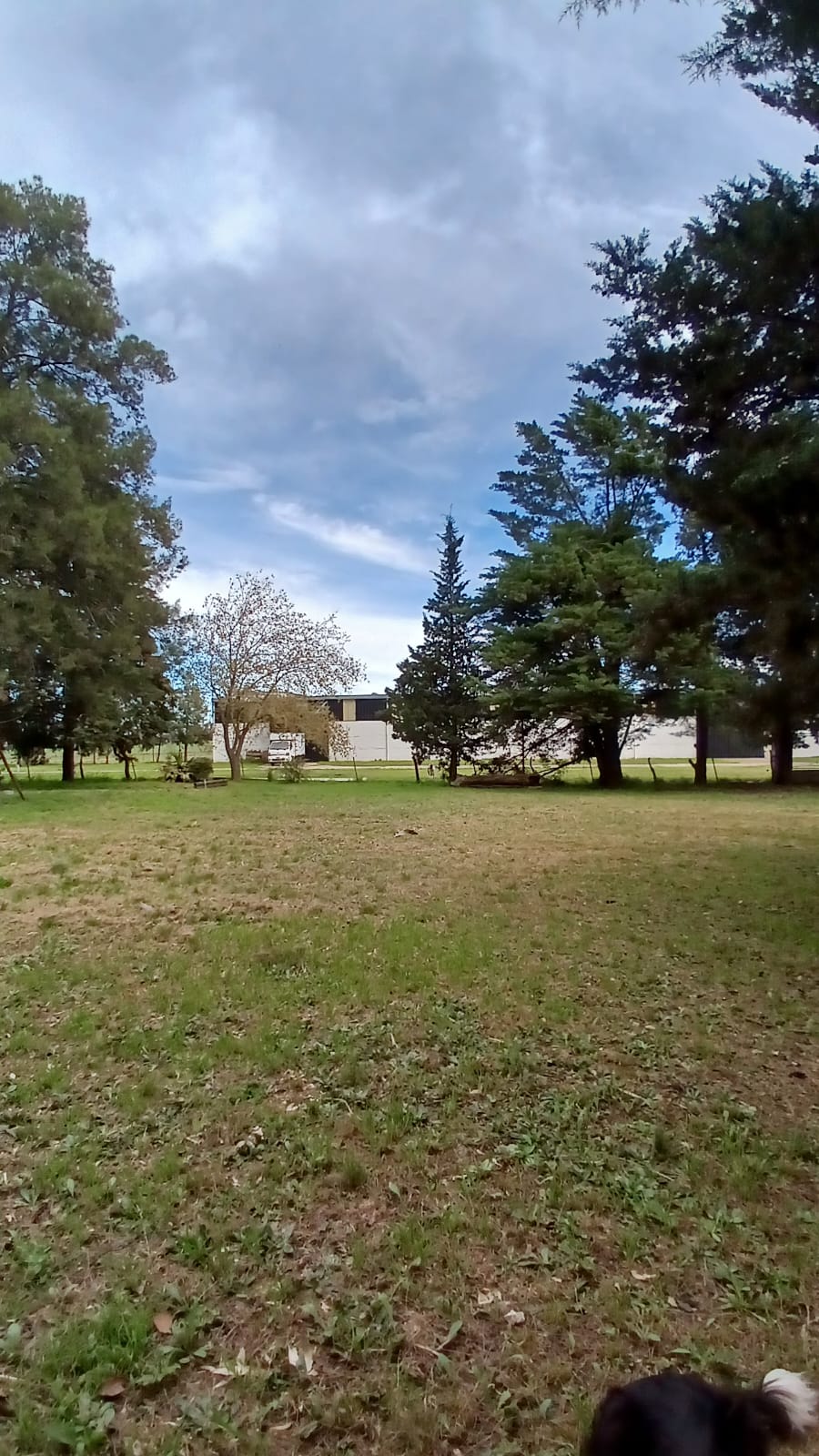 Imagen de la propiedad CASA QUINTA EN VENTA – ESPINILLO NORTE