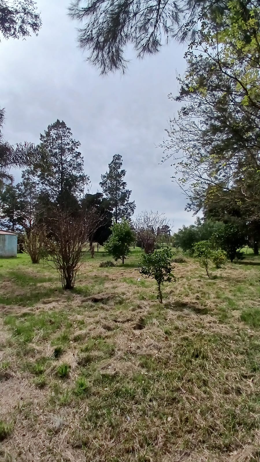 Imagen de la propiedad CASA QUINTA EN VENTA – ESPINILLO NORTE