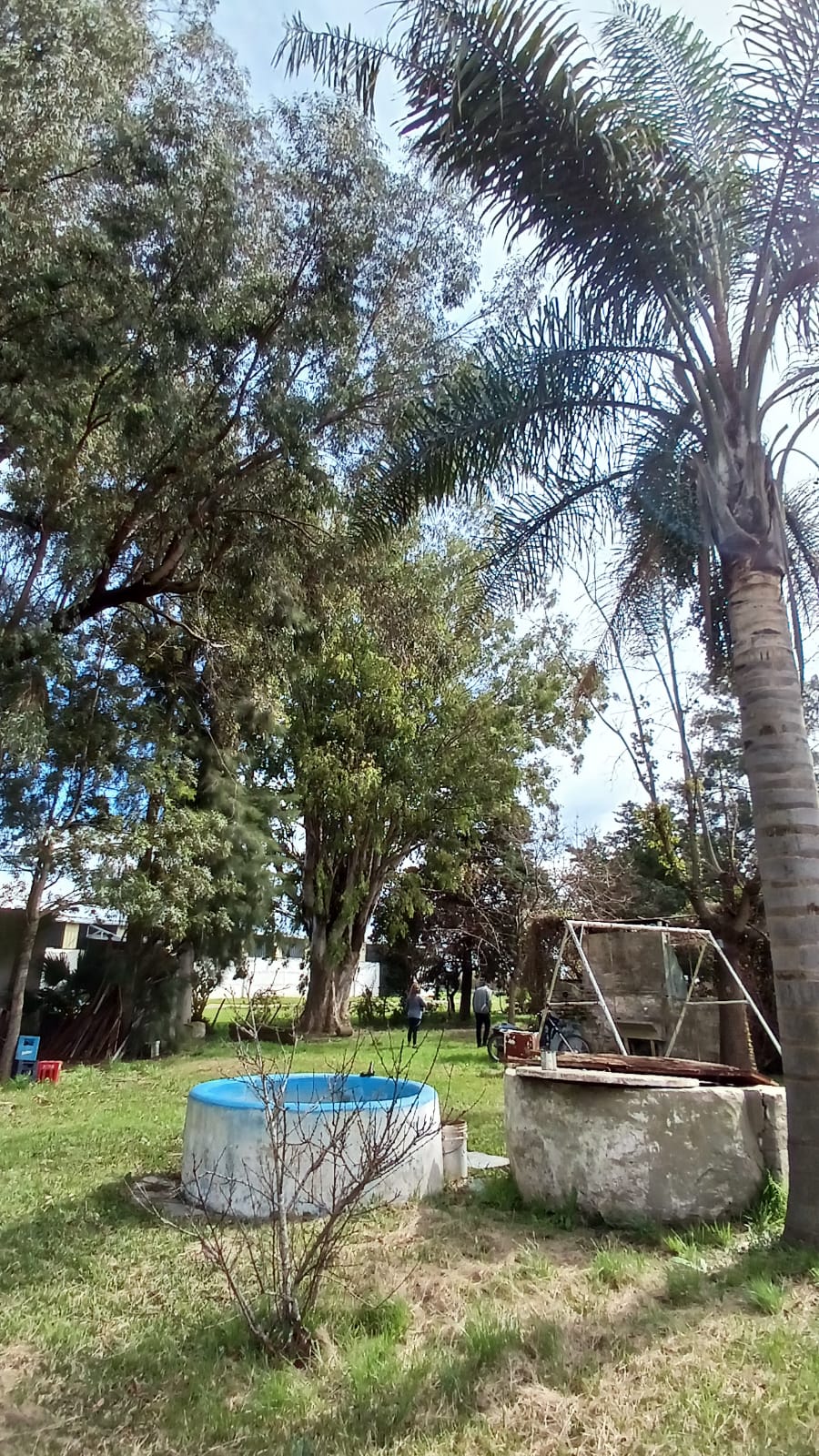 Imagen de la propiedad CASA QUINTA EN VENTA – ESPINILLO NORTE