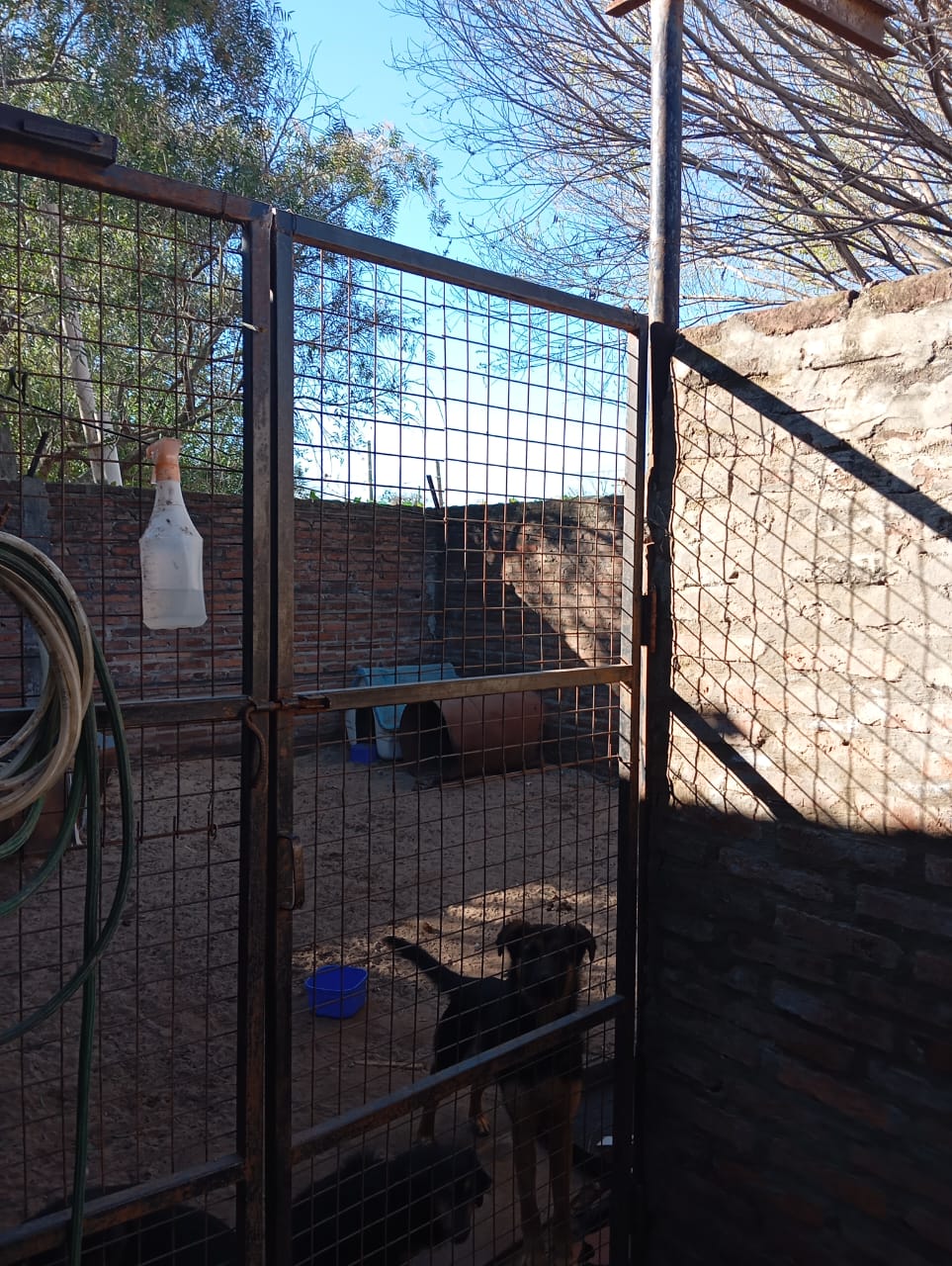 Imagen de la propiedad CASA EN VENTA 