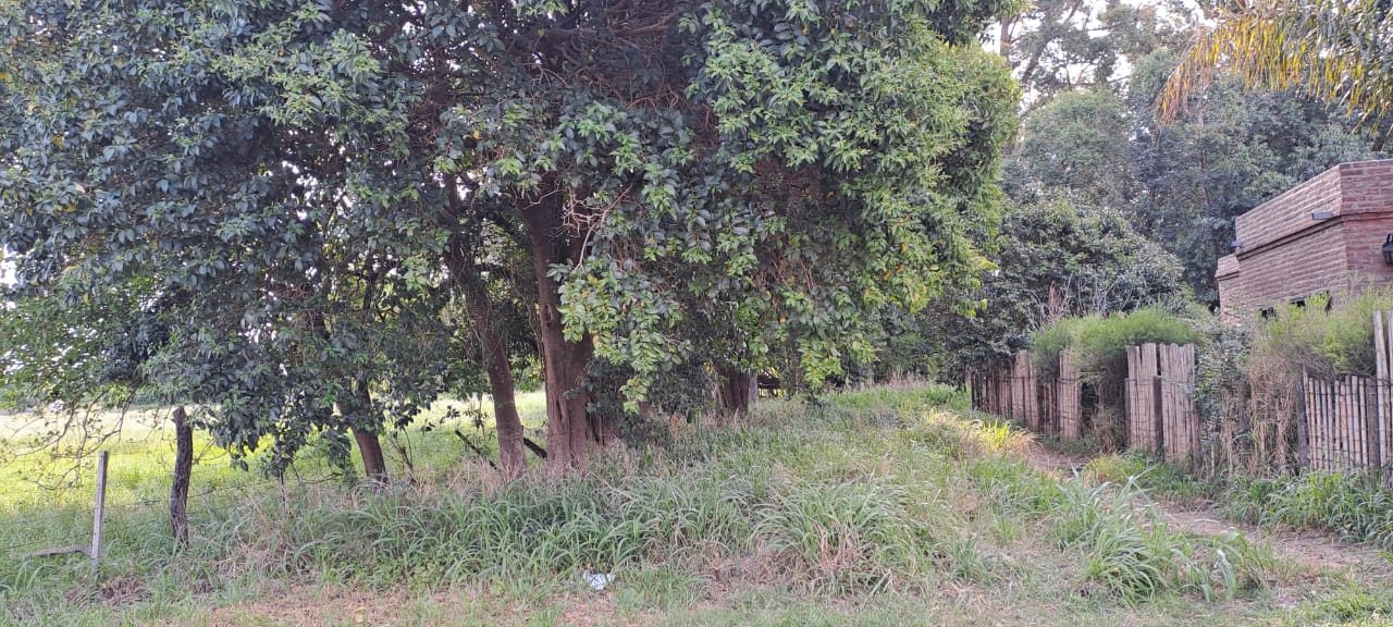Imagen de la propiedad TERRENO EN VENTA – ARROYO AGUIAR, SANTA FE