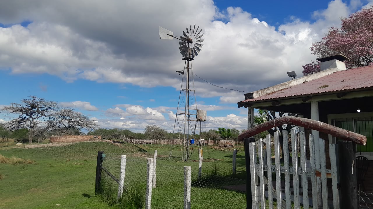 Imagen de la propiedad CAMPO EN VENTA – 100 HECTÁREAS