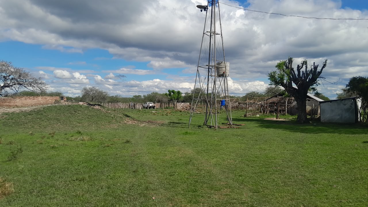 Imagen de la propiedad CAMPO EN VENTA – 100 HECTÁREAS