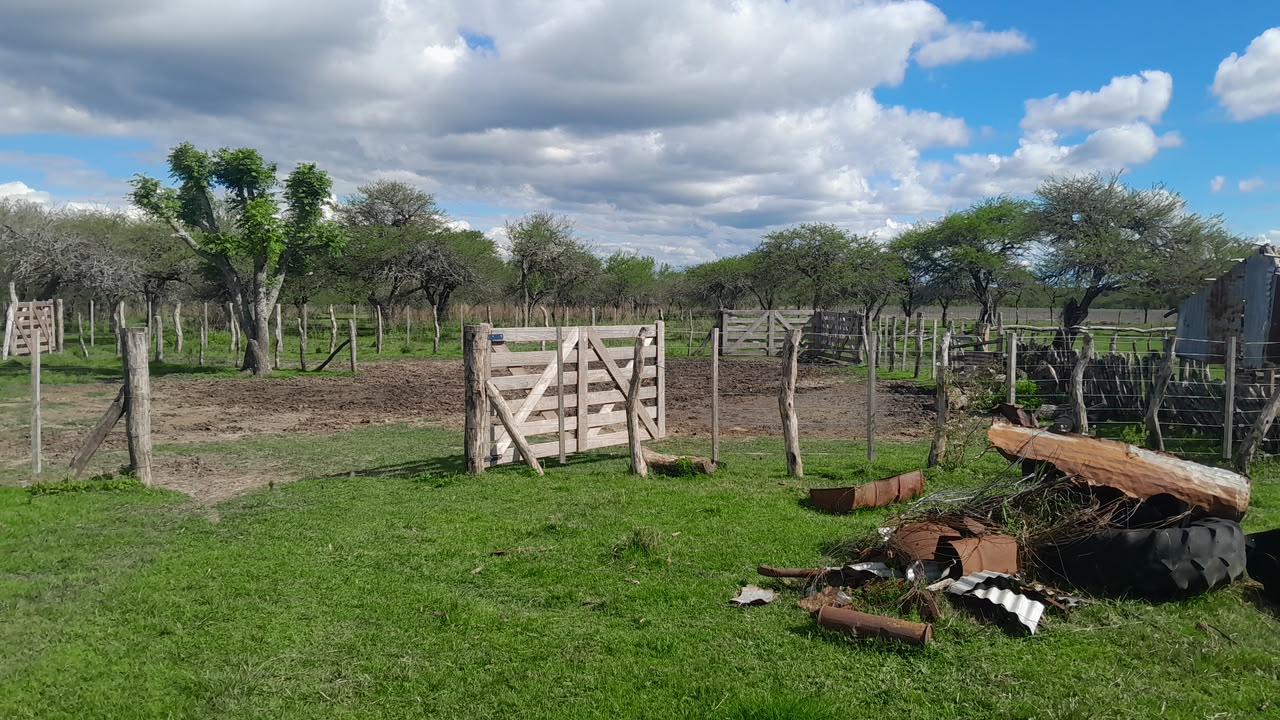 Imagen de la propiedad CAMPO EN VENTA – 100 HECTÁREAS