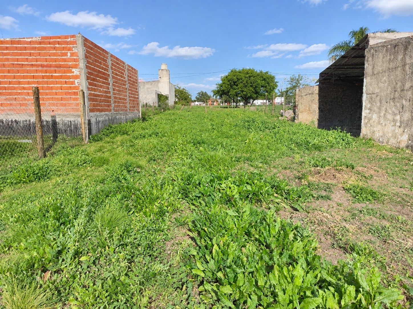 Imagen de la propiedad TERRENO EN VENTA – SAN BENITO