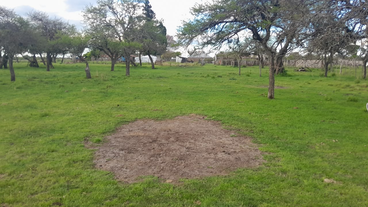 Imagen de la propiedad CAMPO EN VENTA – 100 HECTÁREAS