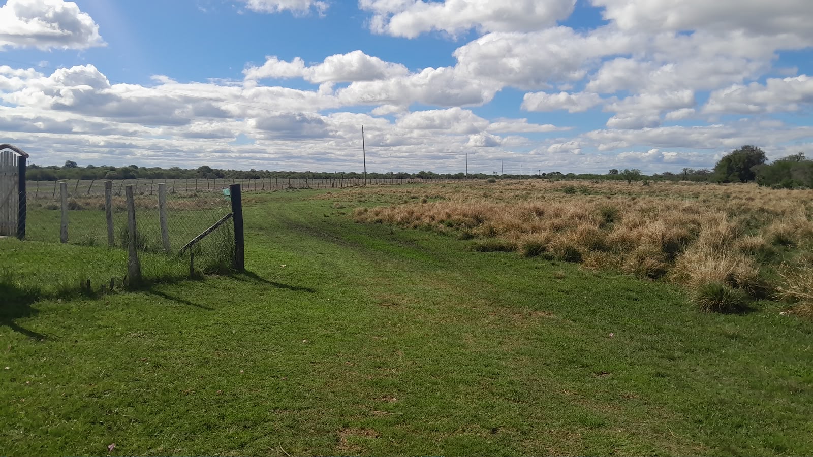 Imagen de la propiedad CAMPO EN VENTA – 100 HECTÁREAS