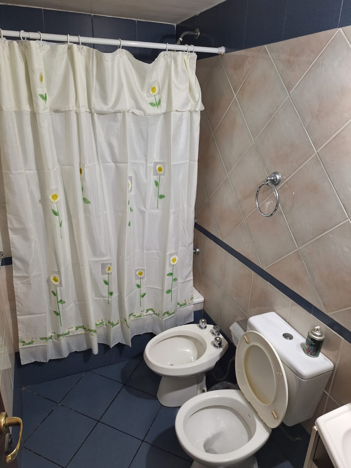 Imagen de la propiedad DEPARTAMENTO EN VENTA | PARANÁ