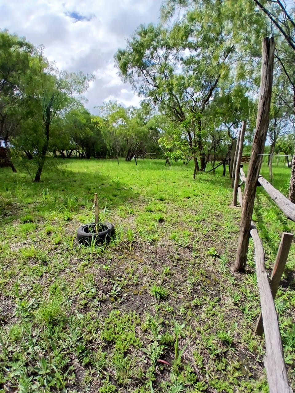 Imagen de la propiedad DOS TERRENOS EN VENTA – LOMAS DEL SAUCE 1