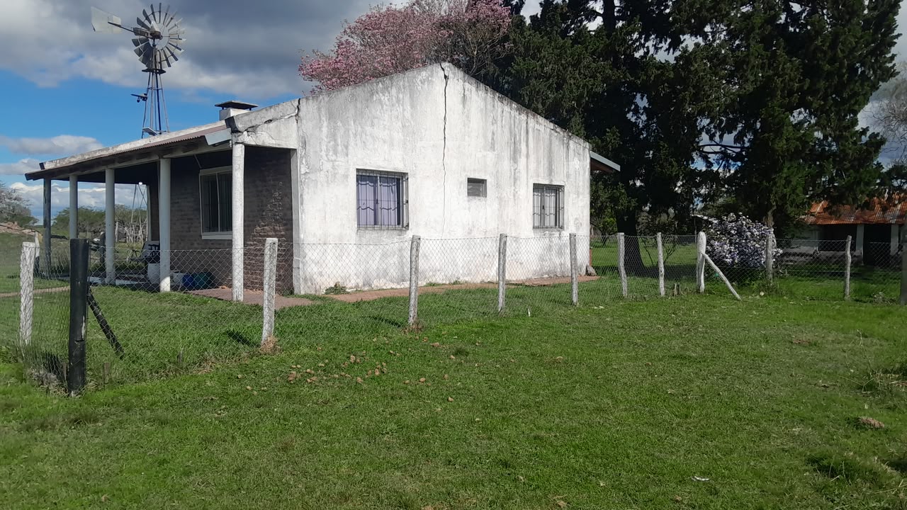 Imagen de la propiedad CAMPO EN VENTA – 100 HECTÁREAS